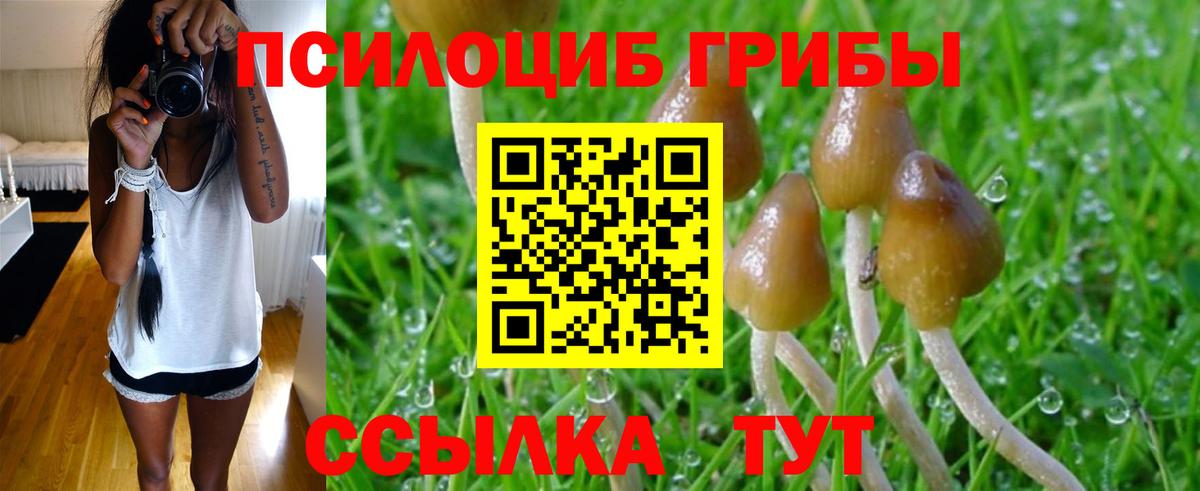 Рузаевка  где можно купить   Вход с VPN  Псилоцибиновые грибы MAGIC MUSHROOMS 